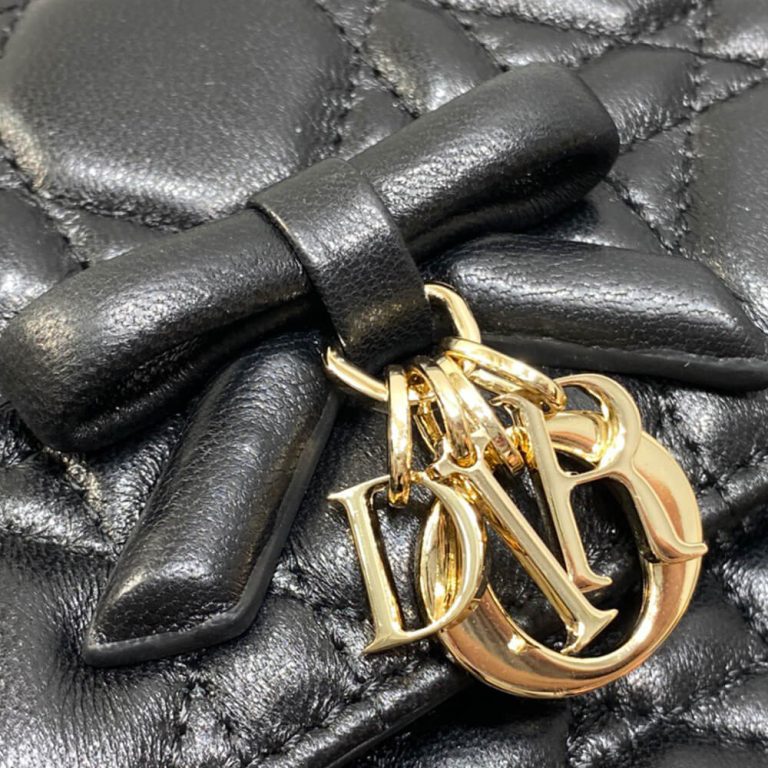 My D10r Mini Bag(HIGH-END GRADE)